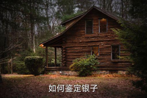 怎么堅定銀，如何鑒定銀子