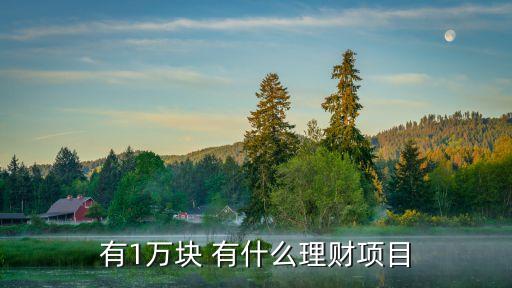 有1萬塊 有什么理財項目