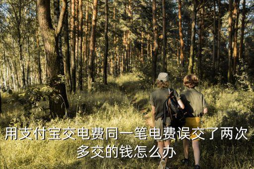 用支付寶交電費(fèi)同一筆電費(fèi)誤交了兩次多交的錢怎么辦