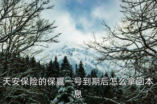 保贏1號到期后錢怎么回來，農(nóng)行天安保贏1號到期怎么辦理取款