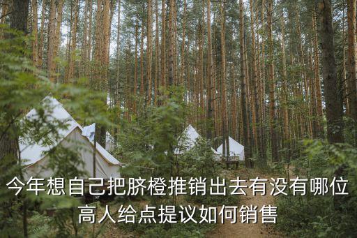 怎么銷售橙子，如何在小區(qū)賣橙子試吃還是怎么推廣能銷量更多呢