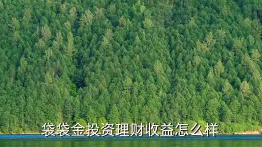 袋袋金怎么買，DNF怎么買金 求解游戲里拍賣搜索不到金幣袋