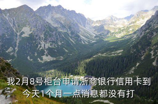 浙商銀行信用卡申批怎么這么慢慢，浙商銀行為什么信用卡材料交了15天還看不到結(jié)果