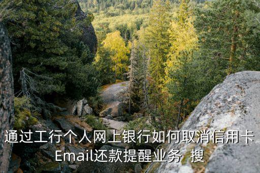 工行自動(dòng)還款怎么取消，通過(guò)工行個(gè)人網(wǎng)上銀行如何取消信用卡Email還款提醒業(yè)務(wù)  搜