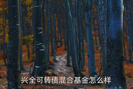 興全可轉(zhuǎn)債基金怎么樣，興全可轉(zhuǎn)債基金值得入手嗎我要穩(wěn)定收益