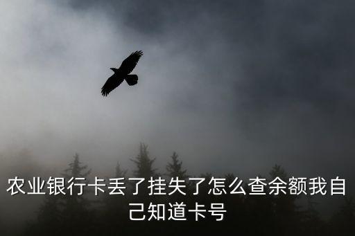 農(nóng)業(yè)卡掉了怎么查余額，農(nóng)業(yè)銀行卡丟了掛失了怎么查余額我自己知道卡號