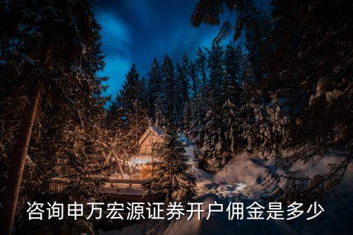 咨詢申萬宏源證券開戶傭金是多少
