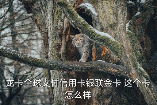 龍卡全球支付信用卡銀聯(lián)金卡 這個卡怎么樣