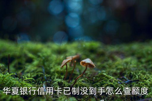華夏銀行信用卡已制沒到手怎么查額度