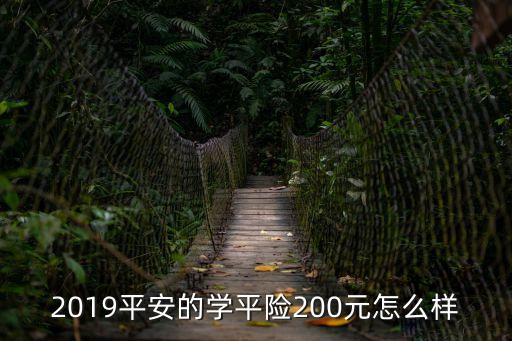 2019平安的學平險200元怎么樣