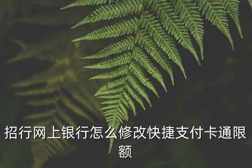 招行卡單筆限額怎么改，招行信用卡支付單筆限額怎么修改