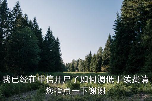 我已經(jīng)在中信開戶了如何調(diào)低手續(xù)費請您指點一下謝謝