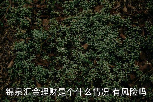 錦泉匯金理財是個什么情況 有風險嗎