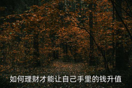 如何理財(cái)才能讓自己手里的錢(qián)升值