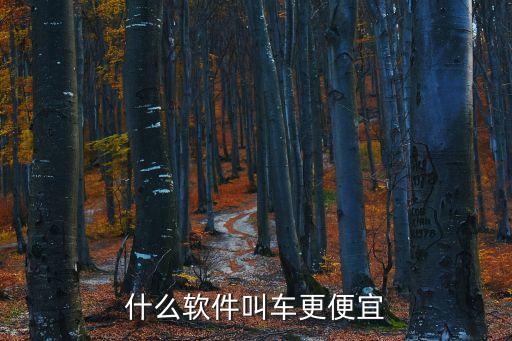 什么軟件叫車更便宜