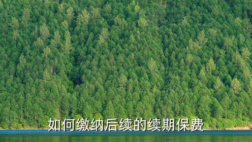 怎么用工商銀行卡續(xù)交保費(fèi)，保險(xiǎn)怎么續(xù)交啊
