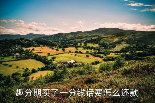 趣分期充話費怎么還款，趣分期怎樣還款