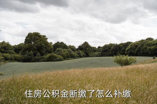 怎么 補(bǔ)繳 公積金，怎么補(bǔ)繳住房公積金