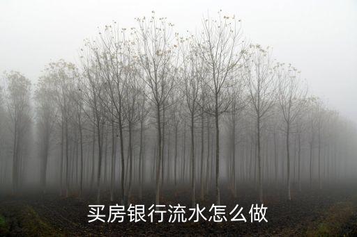 買(mǎi)房子銀行流水怎么做，買(mǎi)房銀行流水怎么做