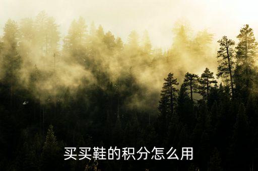 買買鞋的積分怎么用