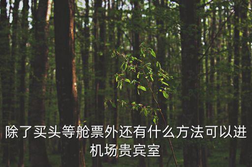 除了買(mǎi)頭等艙票外還有什么方法可以進(jìn)機(jī)場(chǎng)貴賓室