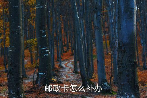 郵政卡怎么補辦