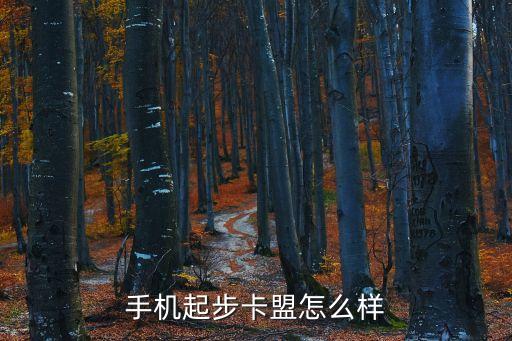 手機起步卡盟怎么樣