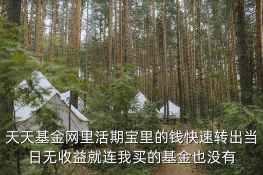 天天基金網(wǎng)里活期寶里的錢快速轉(zhuǎn)出當(dāng)日無收益就連我買的基金也沒有