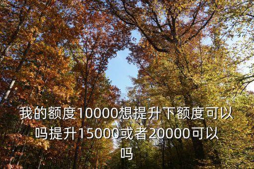 我的額度10000想提升下額度可以嗎提升15000或者20000可以嗎