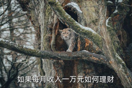 如果每月收入一萬元如何理財