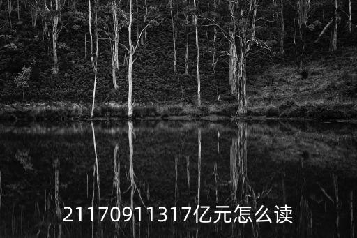 21170911317億元怎么讀