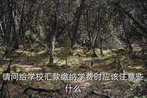 轉(zhuǎn)賬交學(xué)費(fèi)怎么注明，請(qǐng)問(wèn)給學(xué)校匯款繳納學(xué)費(fèi)時(shí)應(yīng)該注意些什么