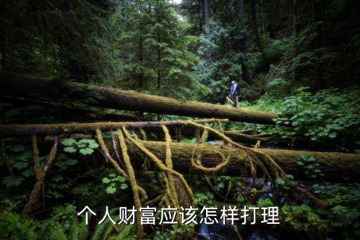 個(gè)人財(cái)富應(yīng)該怎樣打理