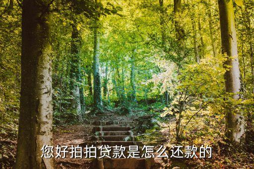 拍拍貸怎么自動(dòng)還款方式，您好拍拍貸款是怎么還款的