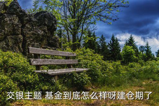 交銀主題 基金到底怎么樣呀建倉期了