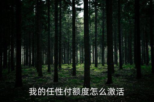 我的任性付額度怎么激活