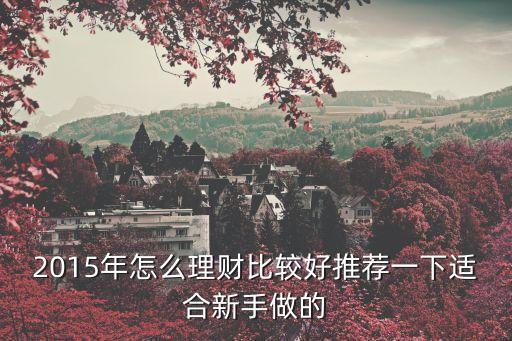 2015年怎么理財比較好推薦一下適合新手做的