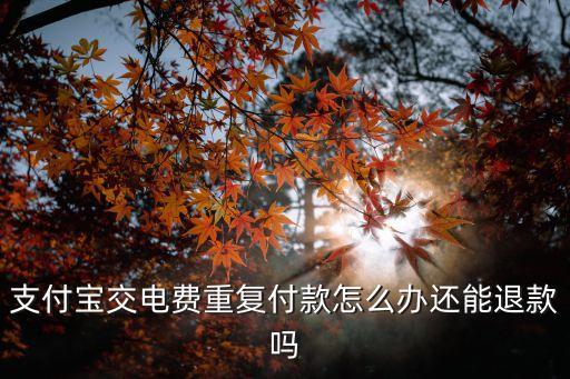 支付寶交電費(fèi)重復(fù)付款怎么辦還能退款嗎
