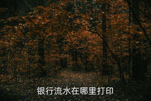 怎么打印銀行還款記錄，銀行流水在哪里打印