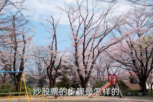 炒股的怎么炒的，炒股票的步驟是怎樣的