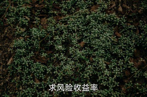 求風(fēng)險收益率