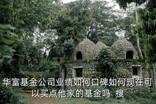 華富基金公司業(yè)績?nèi)绾慰诒绾维F(xiàn)在可以買點他家的基金嗎  搜