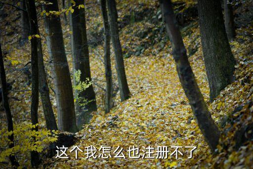 開開貸怎么注冊不了，我怎么注冊不了賬號