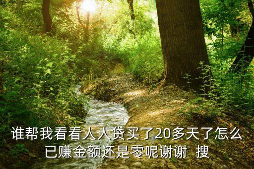 誰幫我看看人人貸買了20多天了怎么已賺金額還是零呢謝謝  搜