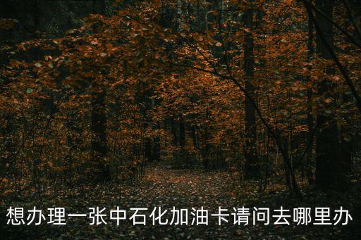 想辦理一張中石化加油卡請問去哪里辦