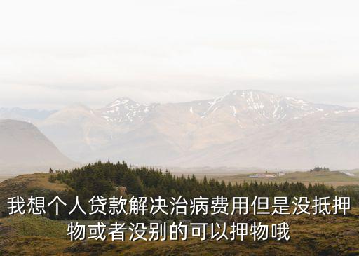 我想個人貸款解決治病費用但是沒抵押物或者沒別的可以押物哦