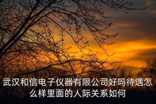 武漢和信電子儀器有限公司好嗎待遇怎么樣里面的人際關(guān)系如何