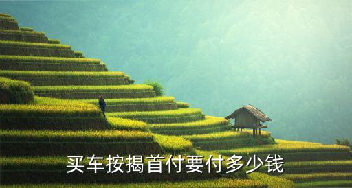 買(mǎi)新車(chē)做首付怎么付款，買(mǎi)車(chē)怎么付首付