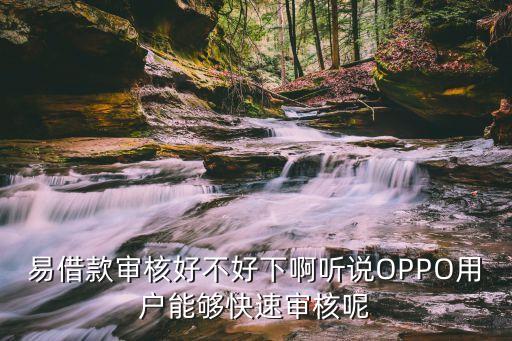 易借款審核好不好下啊聽說(shuō)OPPO用戶能夠快速審核呢
