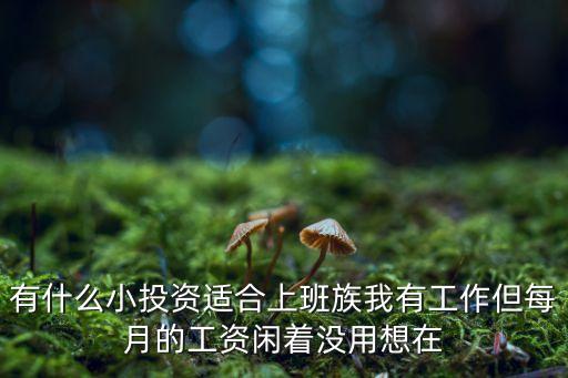 有什么小投資適合上班族我有工作但每月的工資閑著沒用想在